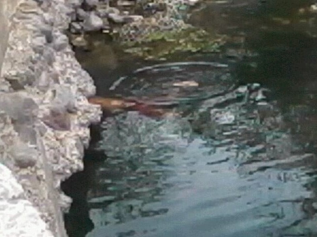 Venta de Terreno para Desarrollos Inmobiliarios en Concordia