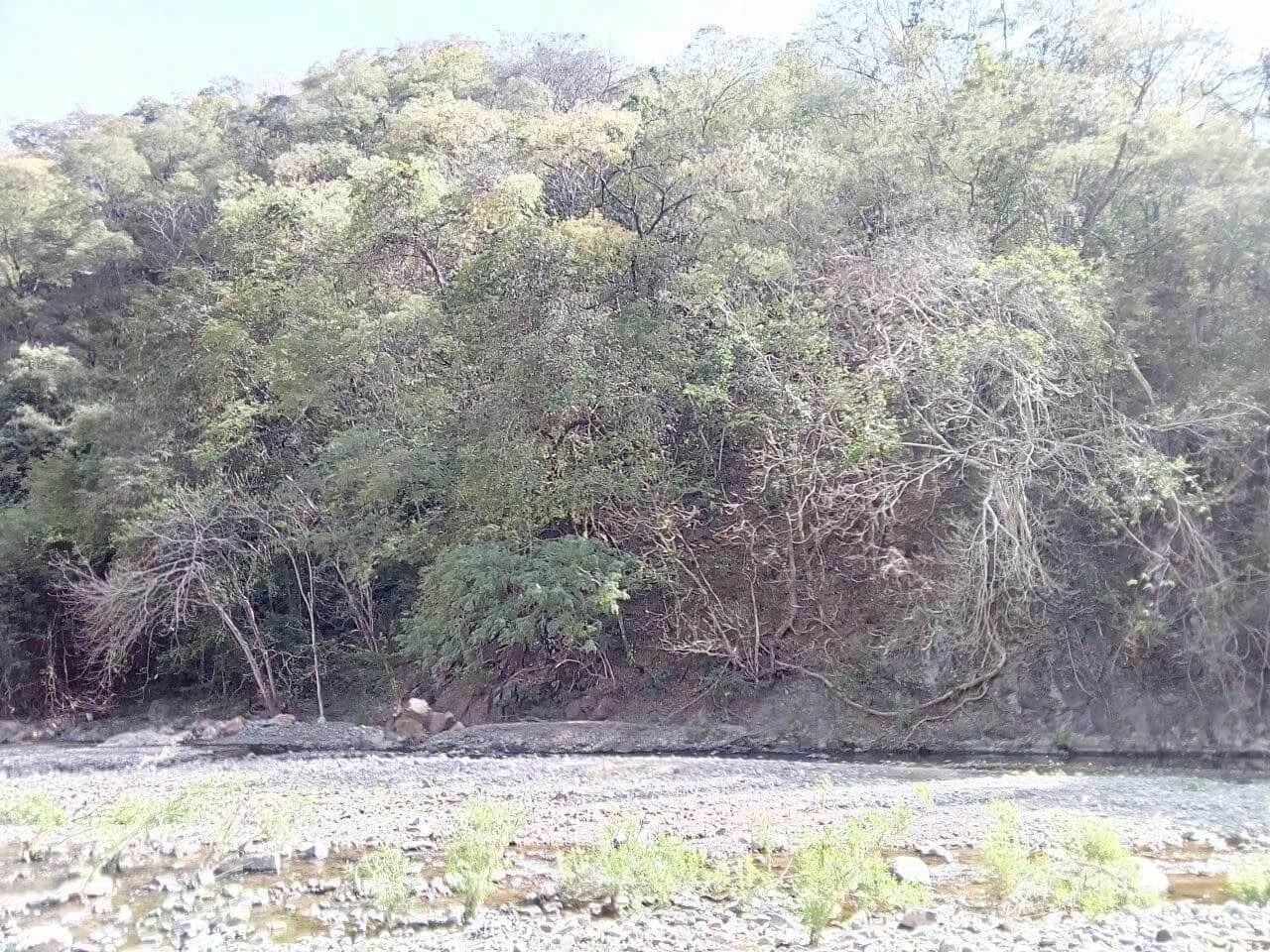 Venta de Terreno para Desarrollos Inmobiliarios en Concordia